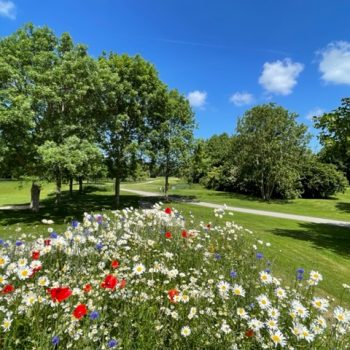 Herman Soen, hole 14/18
